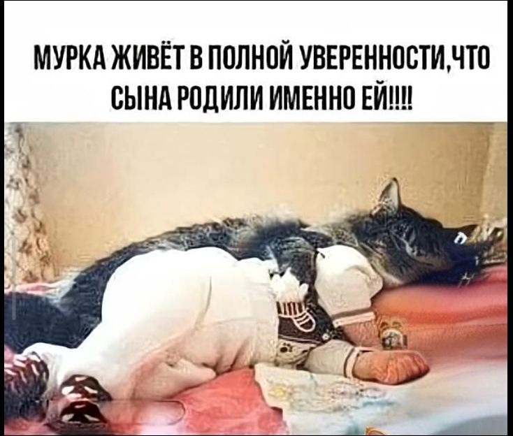 МУРКА ЖИВЁТ В ПОЛНОЙ УВЕРЕННОСТИ, ЧТО СЫНА РОДИЛИ ИМЕННО ЕЙ!!!!