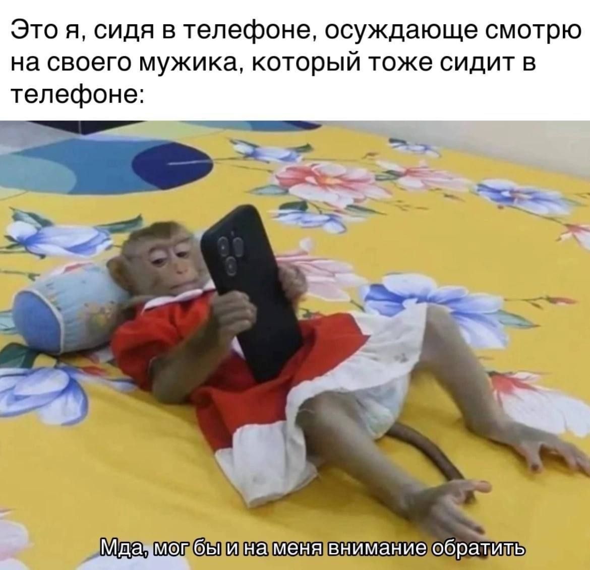 Это я, сидя в телефоне, осуждаю смотрю на своего мужика, который тоже сидит в телефоне: Мда, мог бы и на меня внимания обратить