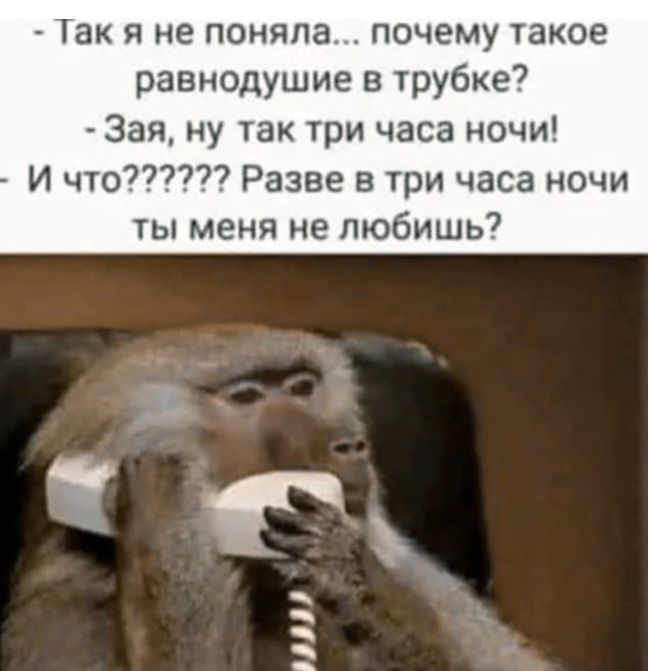 - Так я не поняла... почему такое равнодушие в трубке? - Зая, ну так три часа ночи! - И что????? Разве в три часа ночи ты меня не любишь?