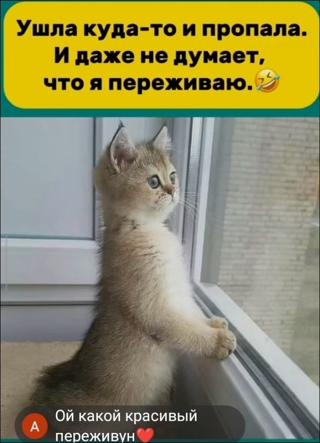 Ушла куда-то и пропала. И даже не думает, что я переживаю. Ой какой красивый переживун❤️