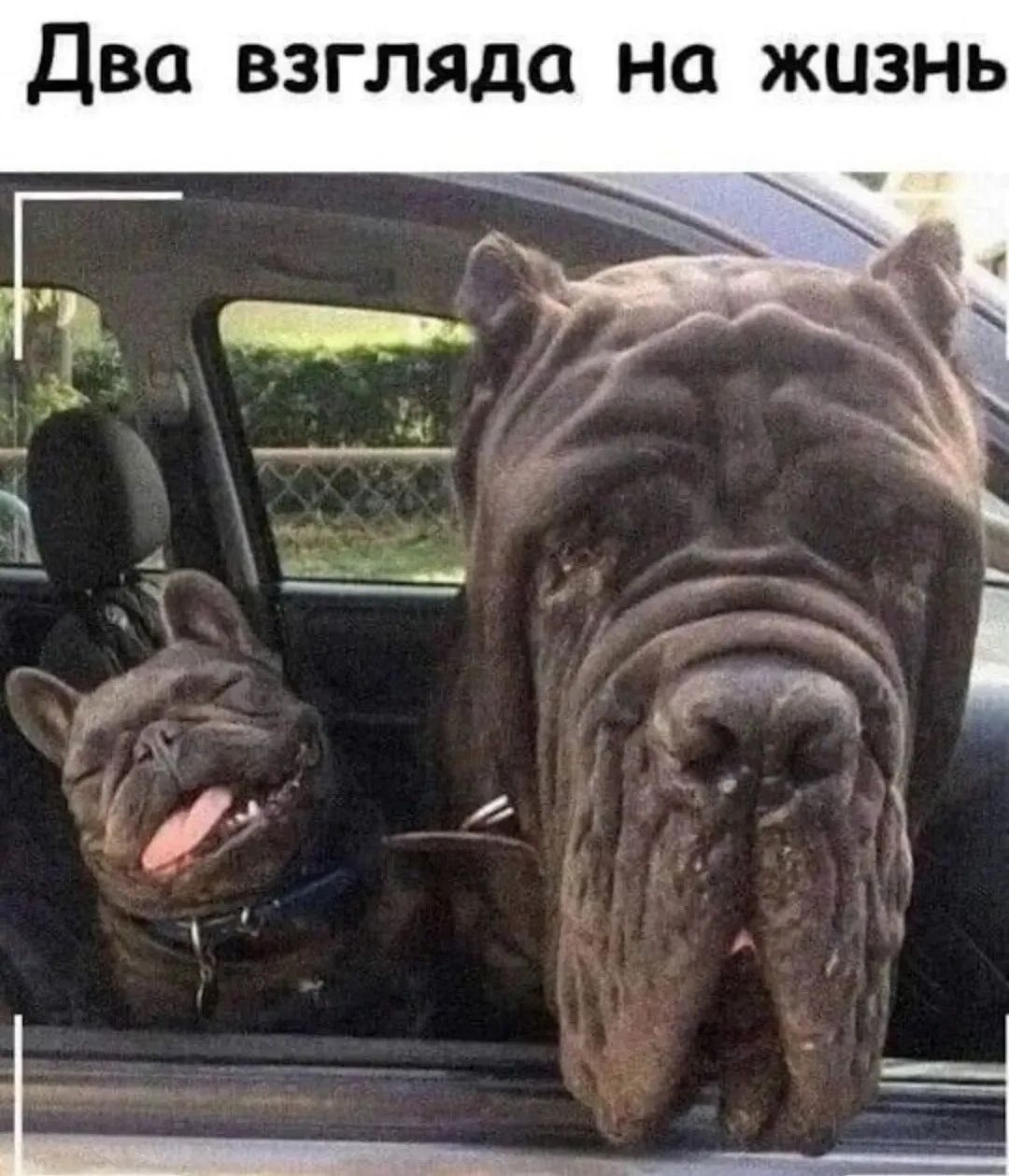 Два взгляда на жизнь