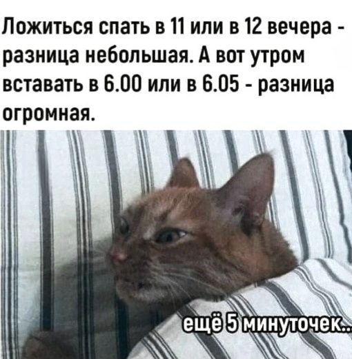 Ложиться спать в 11 или в 12 вечера - разница небольшая. А вот утром вставать в 6.00 или в 6.05 - разница огромная.
ещё 5 минуток...