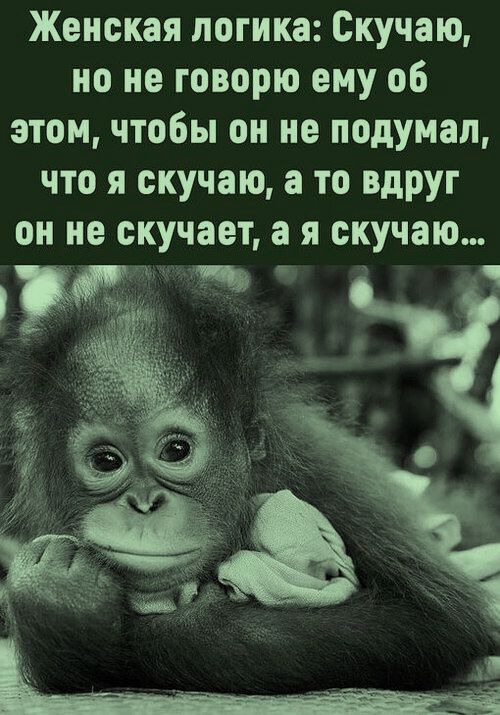 Женская логика: Скучаю, но не говорю ему об этом, чтобы он не подумал, что я скучаю, а то вдруг он не скучает, а я скучаю...