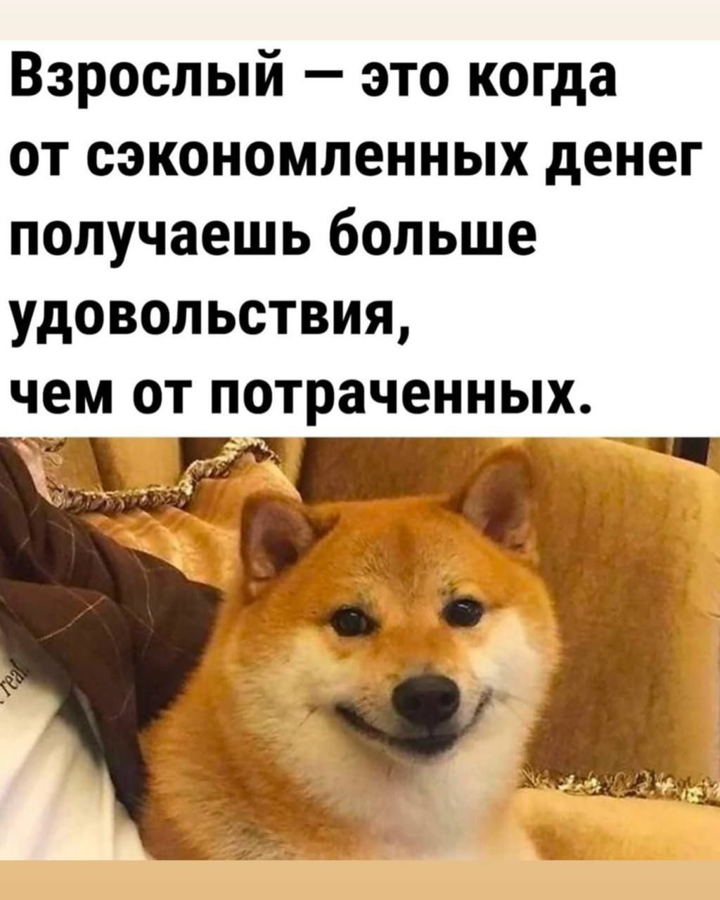 Взрослый — это когда от сэкономленных денег получаешь больше удовольствия, чем от потраченных.