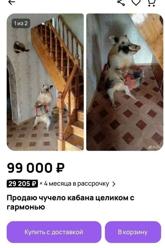 99 000 ₽

29 205 ₽ × 4 месяца в рассрочку

Продаю чучело кабана целиком с гармониєю

Купить с доставкой
В корзину