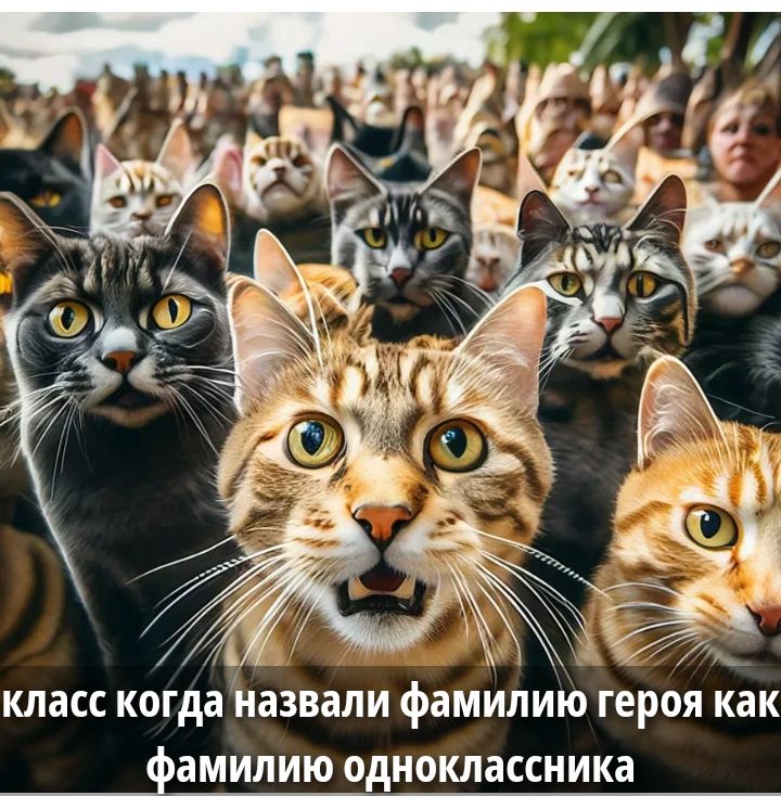 класс когда назвали фамилию героя как фамилию одноклассника