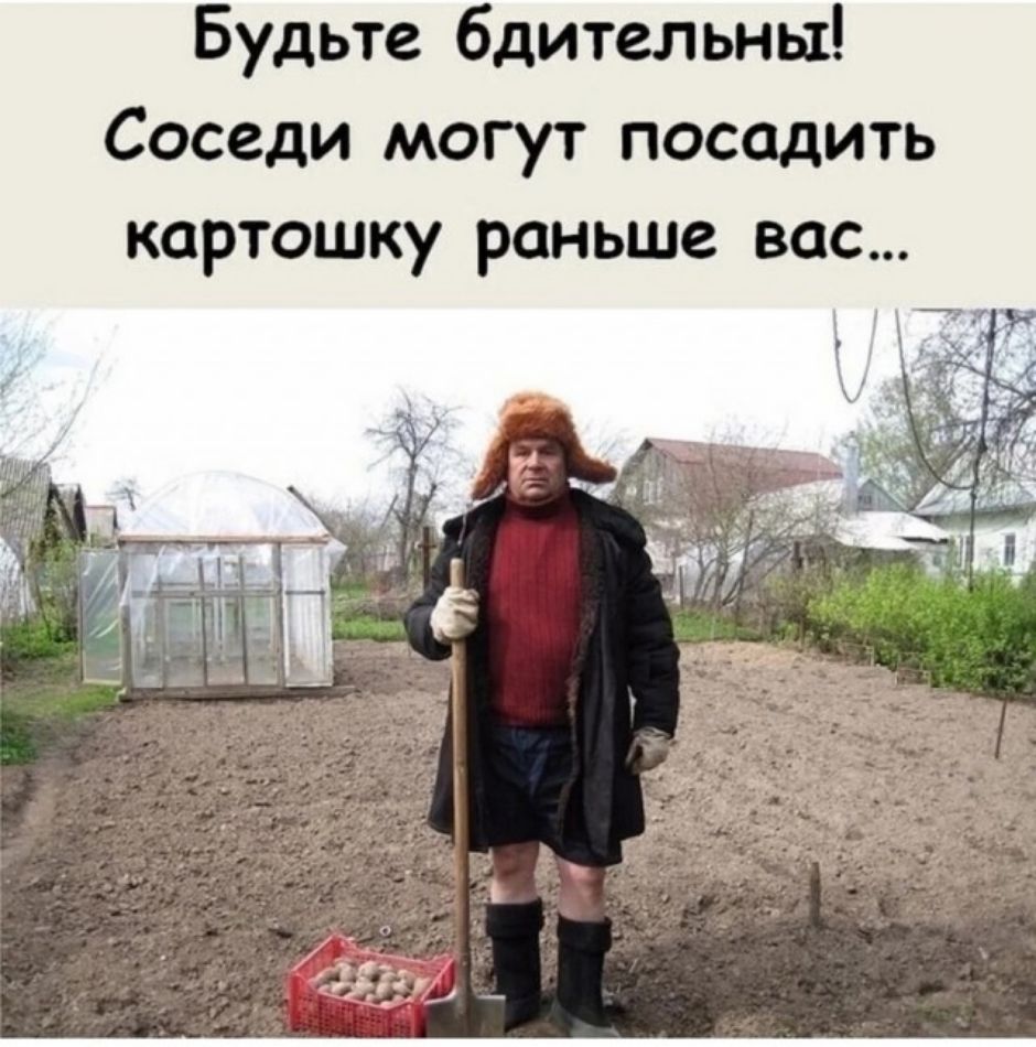 Будьте бдительны! Соседи могут посадить картошку раньше вас...