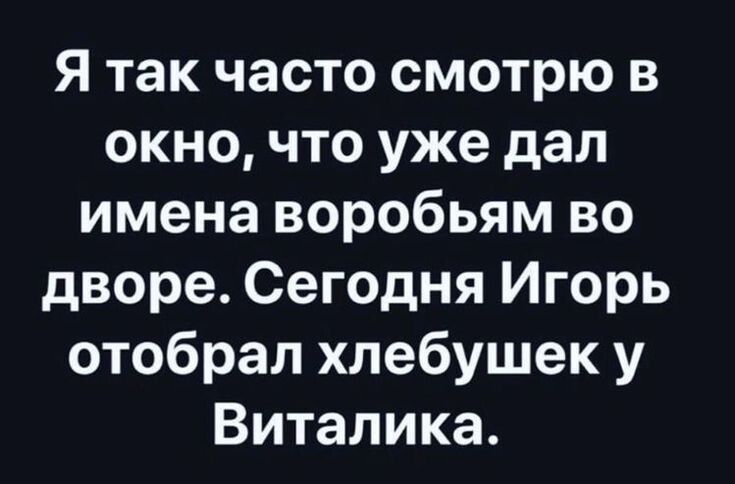 Я так часто смотрю в окно, что уже дал имена воробьям во дворе. Сегодня Игорь отобрал хлебушек у Виталика.