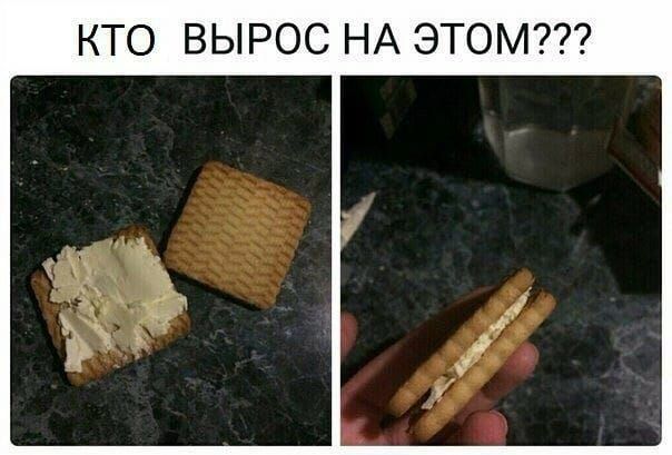 КТО ВЫРОС НА ЭТОМ???