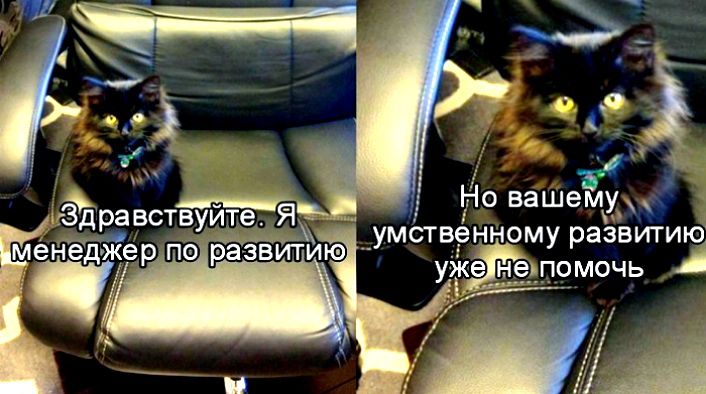 Здравствуйте. Я менеджер по развитию
Но вашему умственному развитию уже не помочь