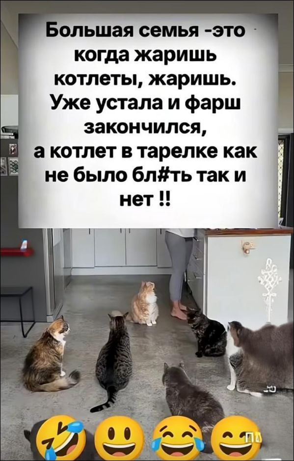 Большая семья -это когда жаришь котлеты, жаришь. Уже устала и фарш закончился, а котлет в тарелке как не было бл#ть так и нет !!