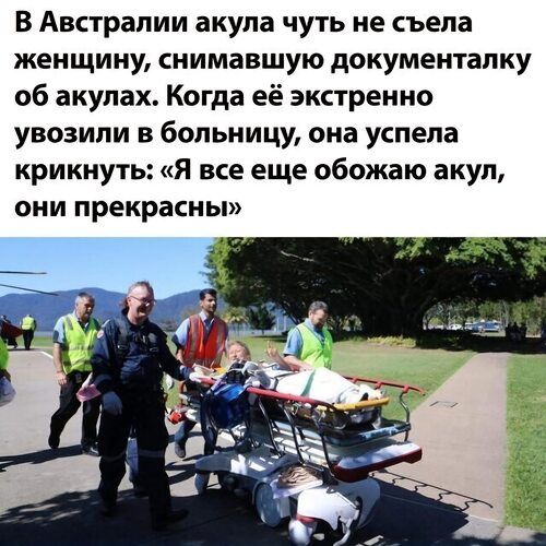 В Австралии акула чуть не съела женщину, снимававшую документалку об акулах. Когда её экстренно увозили в больницу, она успела крикнуть: «Я все еще обожаю акул, они прекрасны»