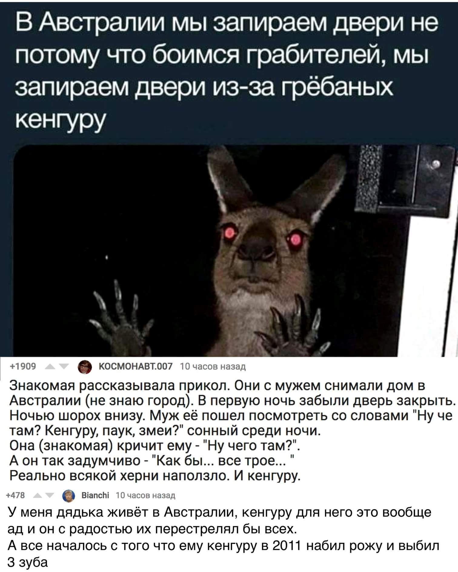 В Австралии мы запираем двери не потому что боимся грабителей, мы запираем двери из-за гребанных кенгуру

Знакомая рассказывала прикол. Они с мужем снимали дом в Австралии (не знаю город). В первую ночь забыли дверь закрыть. Ночью ломится зверь снизу. Ночью ... кенгуру, паук, змеи? сонный среди ночи. Она кричит ему: «Ну что там?» А он так задумчиво