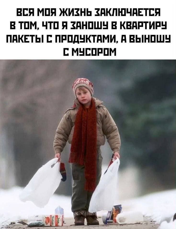 ВСЯ МОЯ ЖИЗНЬ ЗАКЛЮЧАЕТСЯ В ТОМ, ЧТО Я ЗАНОШУ В КВАРТИРУ ПАКЕТЫ С ПРОДУКТАМИ, А ВЫНОШУ С МУСОРОМ