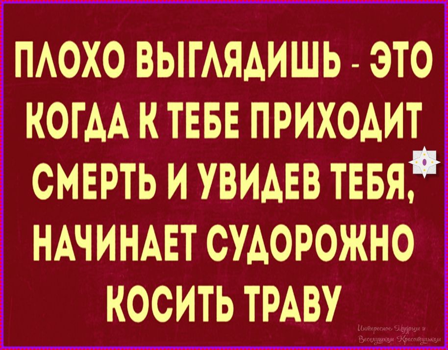 ПЛОХО ВЫГЛЯДИШ - ЭТО КОГДА К ТЕБЕ ПРИХОДИТ СМЕРТЬ И УВИДЕВ ТЕБЯ, НАЧИНАЕТ СУДОРОЖНО КОСИТЬ ТРАВУ