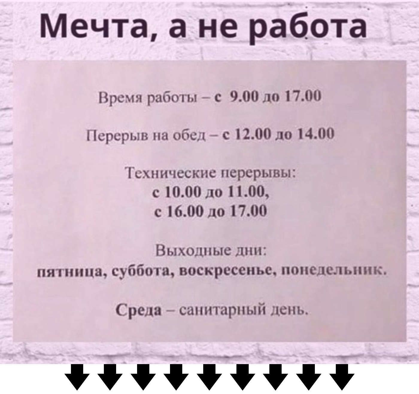 Мечта, а не работа

Время работы – с 9.00 до 17.00

Перерыв на обед – с 12.00 до 14.00

Технические перерывы:
с 10.00 до 11.00,
с 16.00 до 17.00

Выходные дни:
пятница, суббота, воскресенье, понедельник.

Среда – санитарный день.