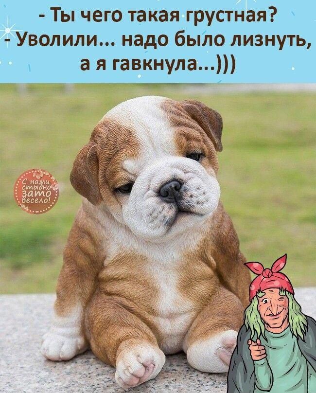 - Ты чего такая грустная?
- Уволили... надо было лизнуть, а я гавкнула...)))