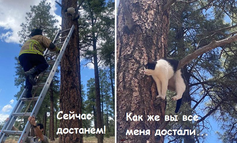 Сейчас достанем!
Как же вы все меня достали