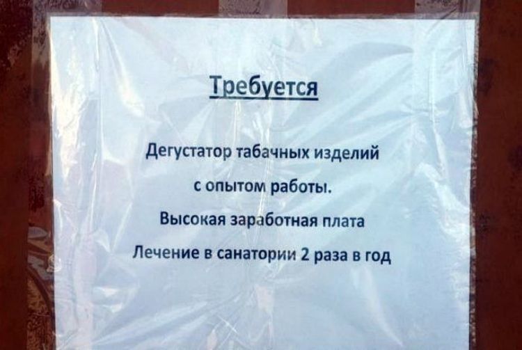 Требуется Дегустатор табачных изделий с опытом работы. Высокая заработная плата. Лечение в санатории 2 раза в год