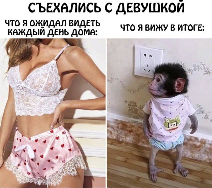 СЪЕХАЛИСЬ С ДЕВУШКОЙ
Что я ожидал видеть каждый день дома:
Что я вижу в итоге: