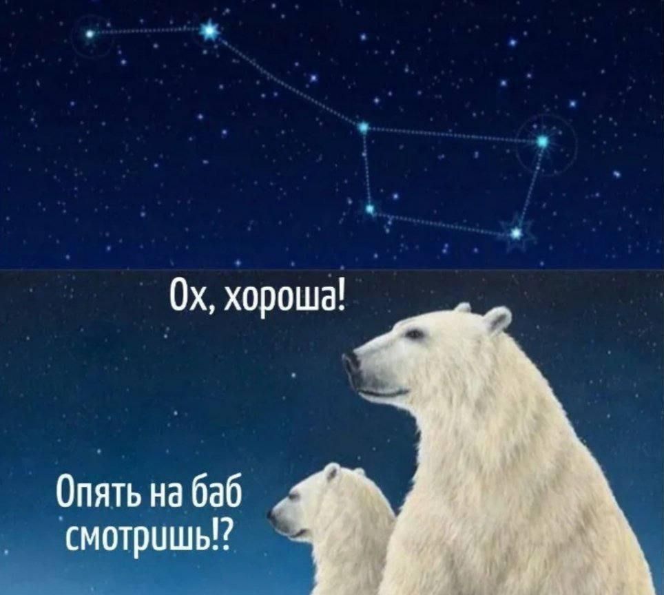 Ох, хороша! Опять на баб смотришь!?