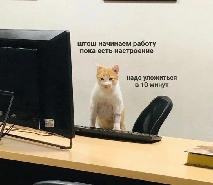 штош начинаем работу пока есть настроение надо уложиться в 10 минут