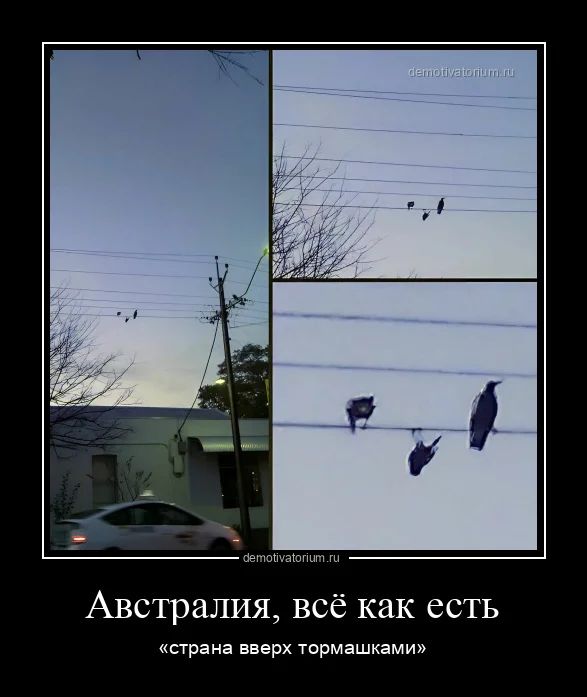 Австралия, всё как есть