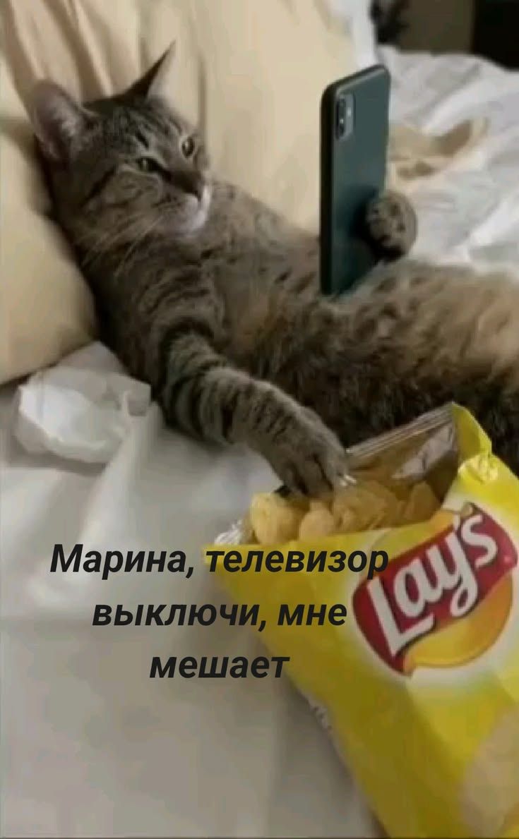 Марина, телевизор выключи, мне мешает