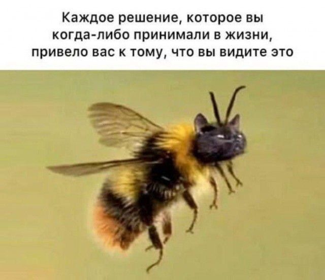 Каждое решение, которое вы когда-либо принимали в жизни, привело вас к тому, что вы видите это