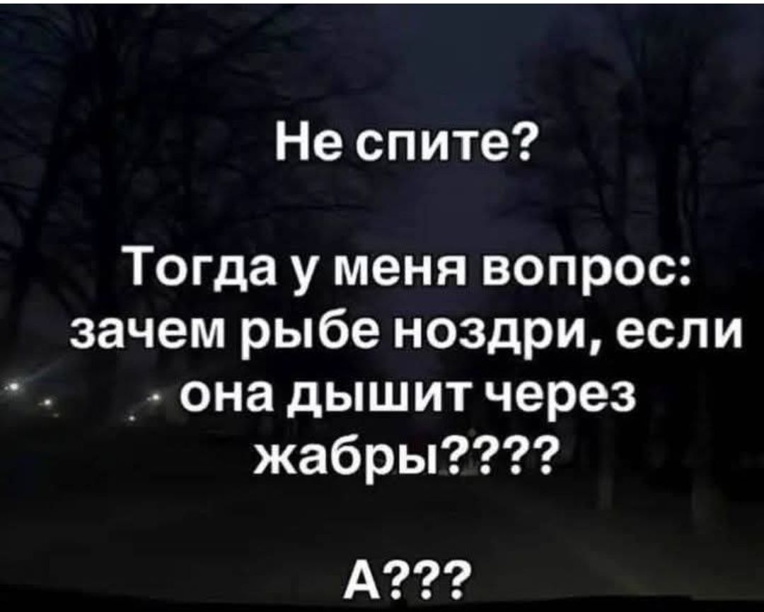 Не спите?
Тогда у меня вопрос:
зачем рыбе ноздри, если она дышит через жабры????
А???