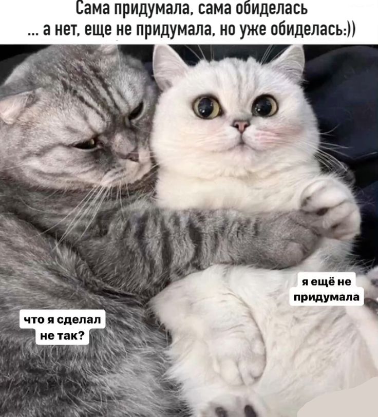 Сама придумала, сама обиделась ... а нет, еще не придумала, но уже обиделась:)) Что я сделал не так? Я ещё не придумала