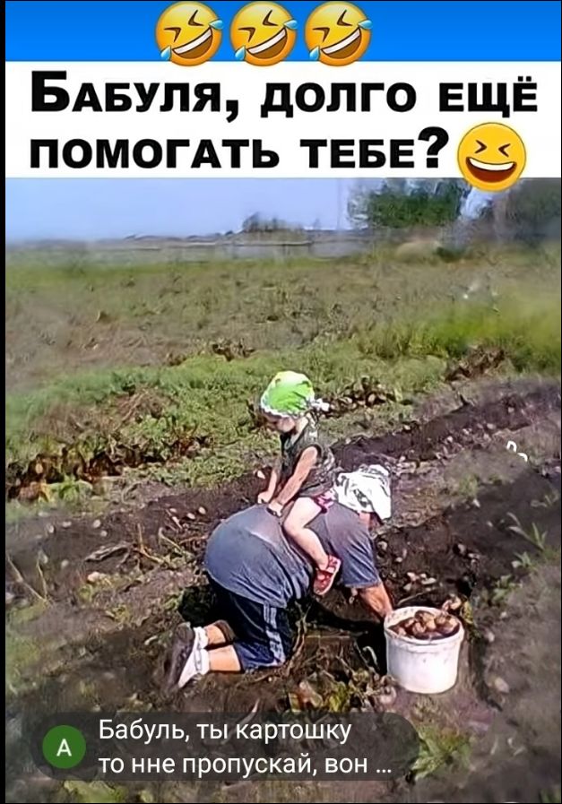 Бабуля, долго ещё помогать тебе? Бабуль, ты картошку то не пропускай, вон ...
