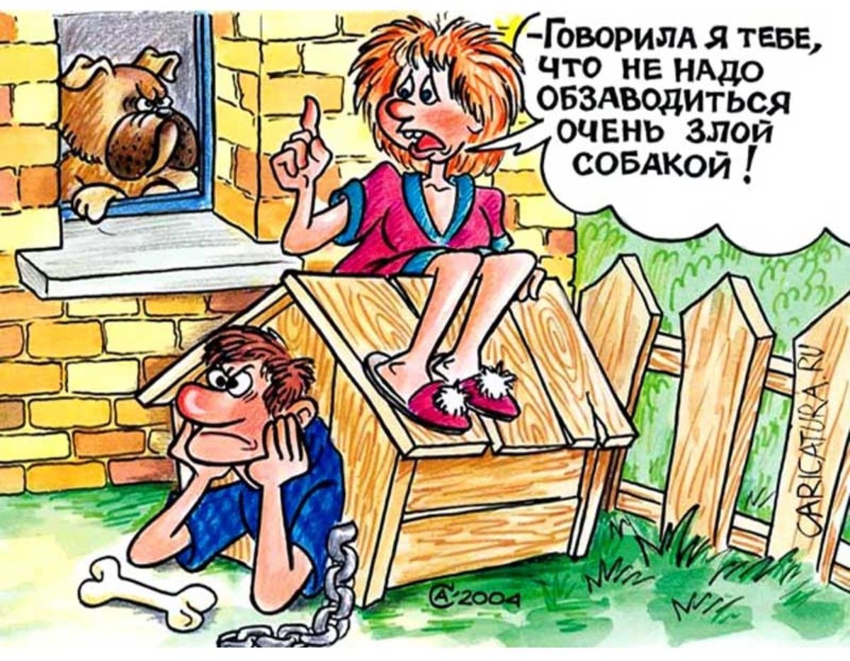 Говорила я тебе, что не надо обзаводиться очень злой собакой!