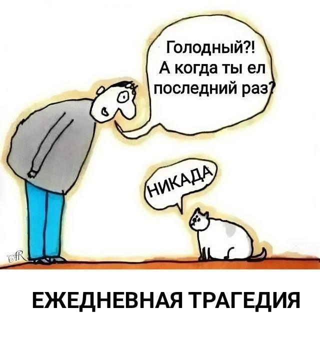 Голодный?! А когда ты ел последний раз? НИКАДА ЕЖЕДНЕВНАЯ ТРАГЕДИЯ