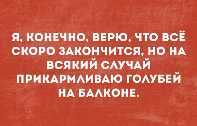 Я, конечно, верю, что всё скоро закончится, но на всякий случай прикармливаю голубей на балконе.