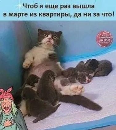 Чтоб я еще раз вышла в марте из квартиры, да ни за что!