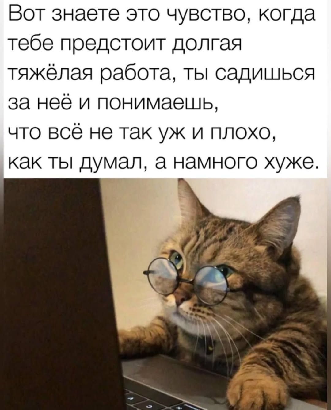 Вот знаете это чувство, когда тебе предстоит долгая тяжёлая работа, ты садишься за неё и понимаешь, что всё не так уж и плохо, как ты думал, а намного хуже.