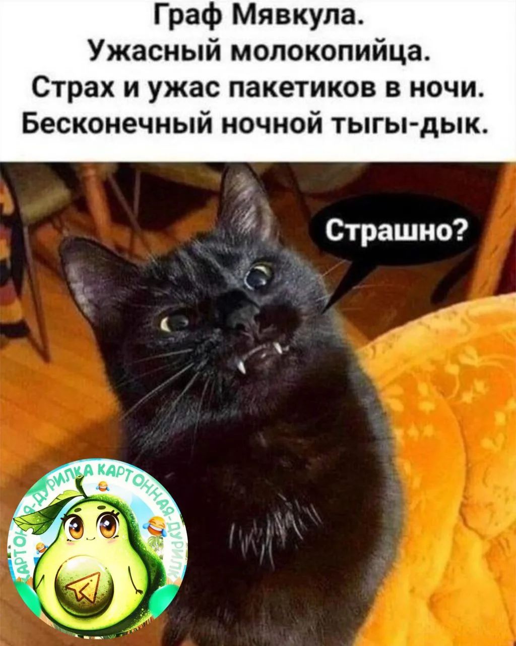 Граф Мявкула. Ужасный молокопийца. Страх и ужас пакетиков в ночи. Бесконечный ночной тыгы-дык. Страшно?