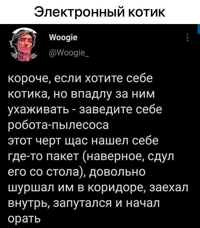 Электронный котик
Woogie
@Woogie_
короче, если хотите себе котика, но впадлу за ним ухаживать - заведите себе робота-пылесоса
этот черт щас нашел себе где-то пакет (наверное, сдул его со стола), довольно шуршал им в коридоре, заехал внутрь, запутался и начал орать