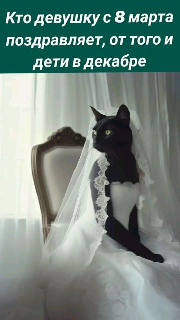 Кто девушку с 8 марта поздравляет, от того и дети в декабре