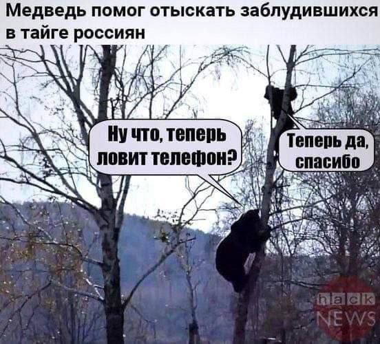 Медведь помог отыскать заблудившихся в тайге россиян. Ну что, теперь ловит телефон? Теперь да, спасибо
