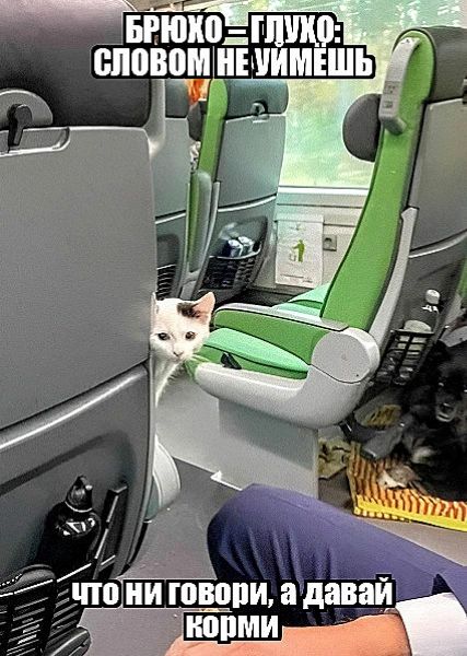 БРЮХО=ГЛУХО:
СЛОВОМ НЕ УЙМЕШЬ
ЧТО НИ ГОВОРИ, А ДАВАЙ
КОРМИ