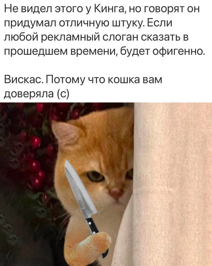 Не видел этого у Кинга, но говорят он придумал отличную штуку. Если любой рекламный слоган сказать в прошедшем времени, будет офигенно. Вискас. Потому что кошка вам доверяла (с)