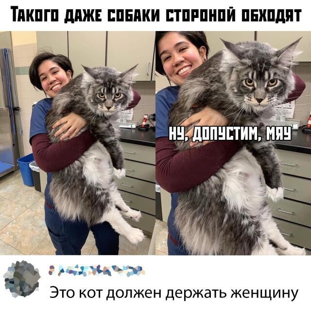 Такого даже собаки стороной обходят. Ну, допустим, мяу.