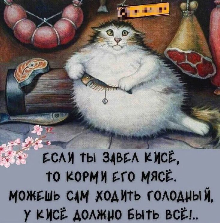 ЕСЛИ ТЫ ЗАВЕЛ КИСЁ, ТО КОРМИ ЕГО МЯСЁ. МОЖЕШЬ САМ ХОДИТЬ ГОЛОДНЫЙ, У КИСЁ ДОЛЖНО БЫТЬ ВСЁ!.