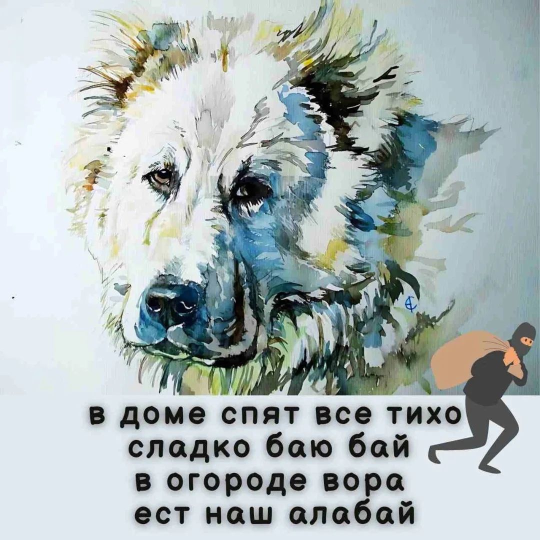в доме спят все тихо сладко баю бай в огороде вора ест наш алабай