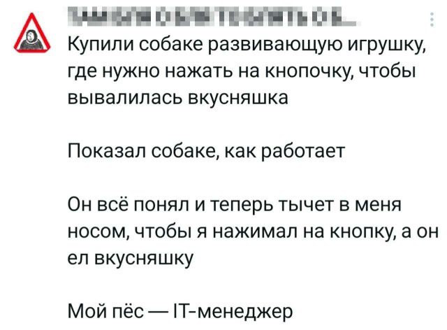 Купили собаке развивающую игрушку, где нужно нажать на кнопочку, чтобы вывалилась вкусняшка. Показал собаке, как работает. Он всё понял и теперь тычет в меня носом, чтобы я нажимал на кнопку, а он ел вкусняшку. Мой пёс — IT-менеджер