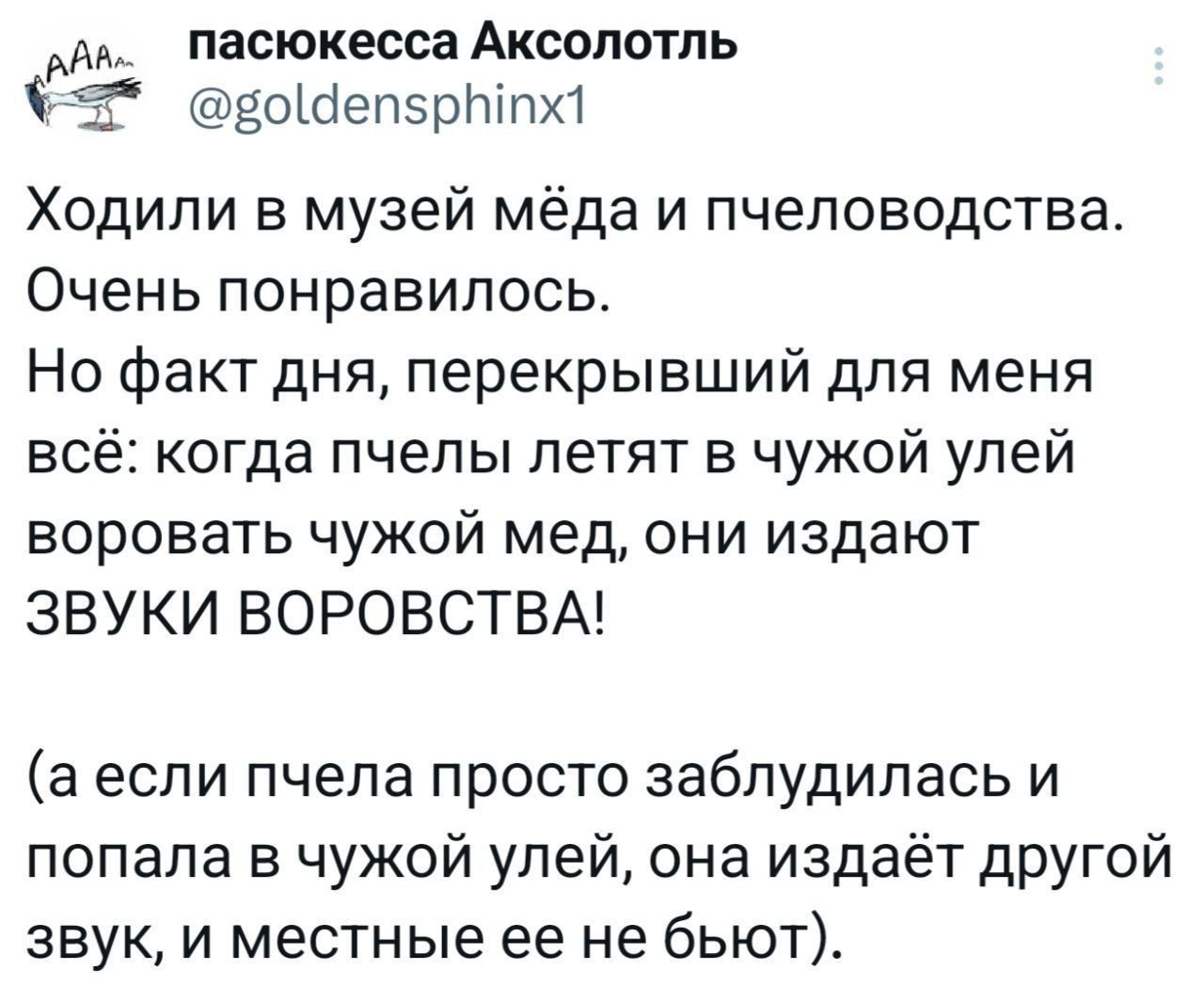AAA пасюкесса Аксолотль @goldensphinx1 Ходили в музей мёда и пчеловодства. Очень понравилось. Но факт дня, перекрывший для меня всё: когда пчелы летят в чужой улей воровать чужой мед, они издают ЗВУКИ ВОРОВСТВА!

(а если пчела просто заблудилась и попала в чужой улей, она издаёт другой звук, и местные ее не бьют).
