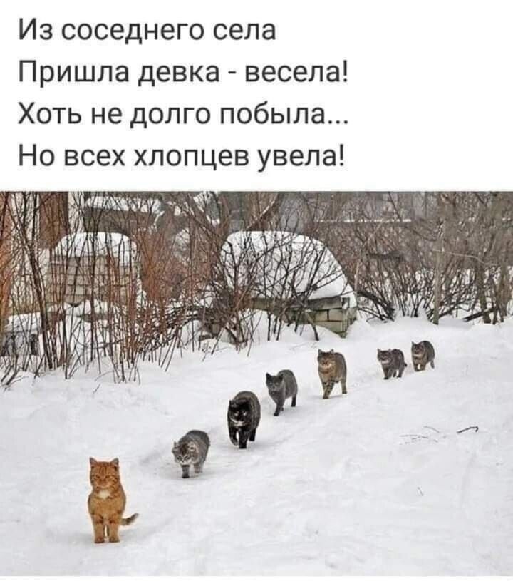 Из соседнего села Пришла девка - весела! Хоть не долго побыла... Но всех хлопцев увела!