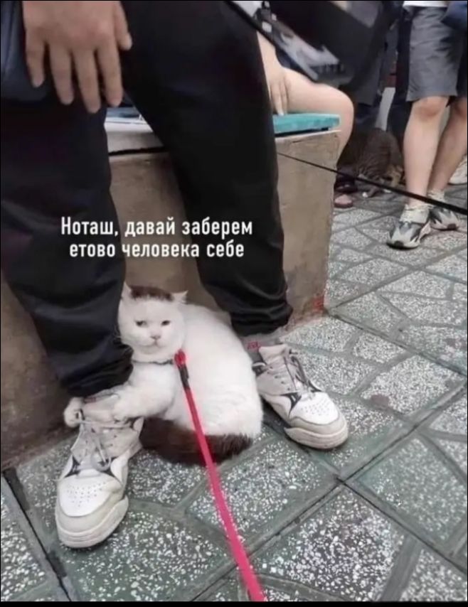 Ноташ, давай заберем етого человека себе